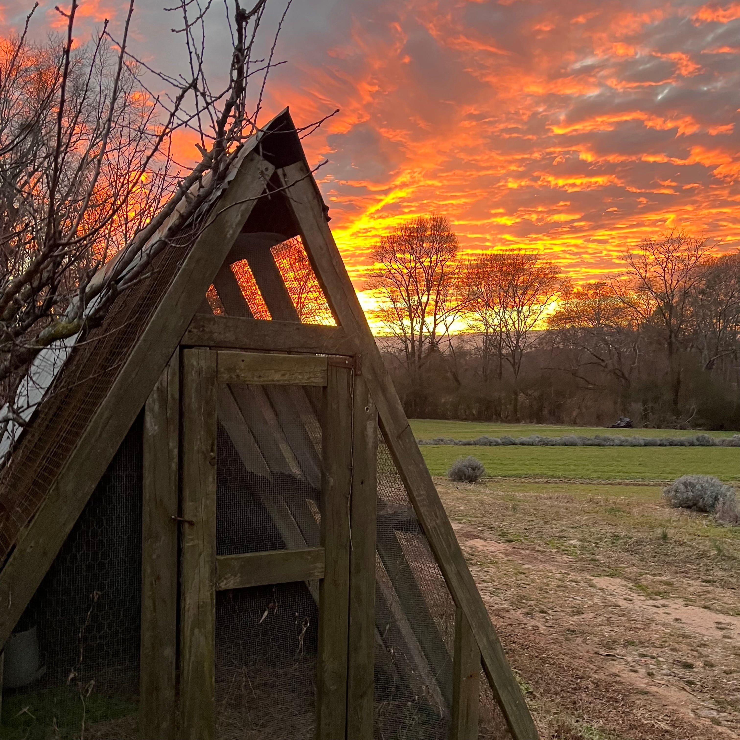 Fire in the Sky 1/26/24