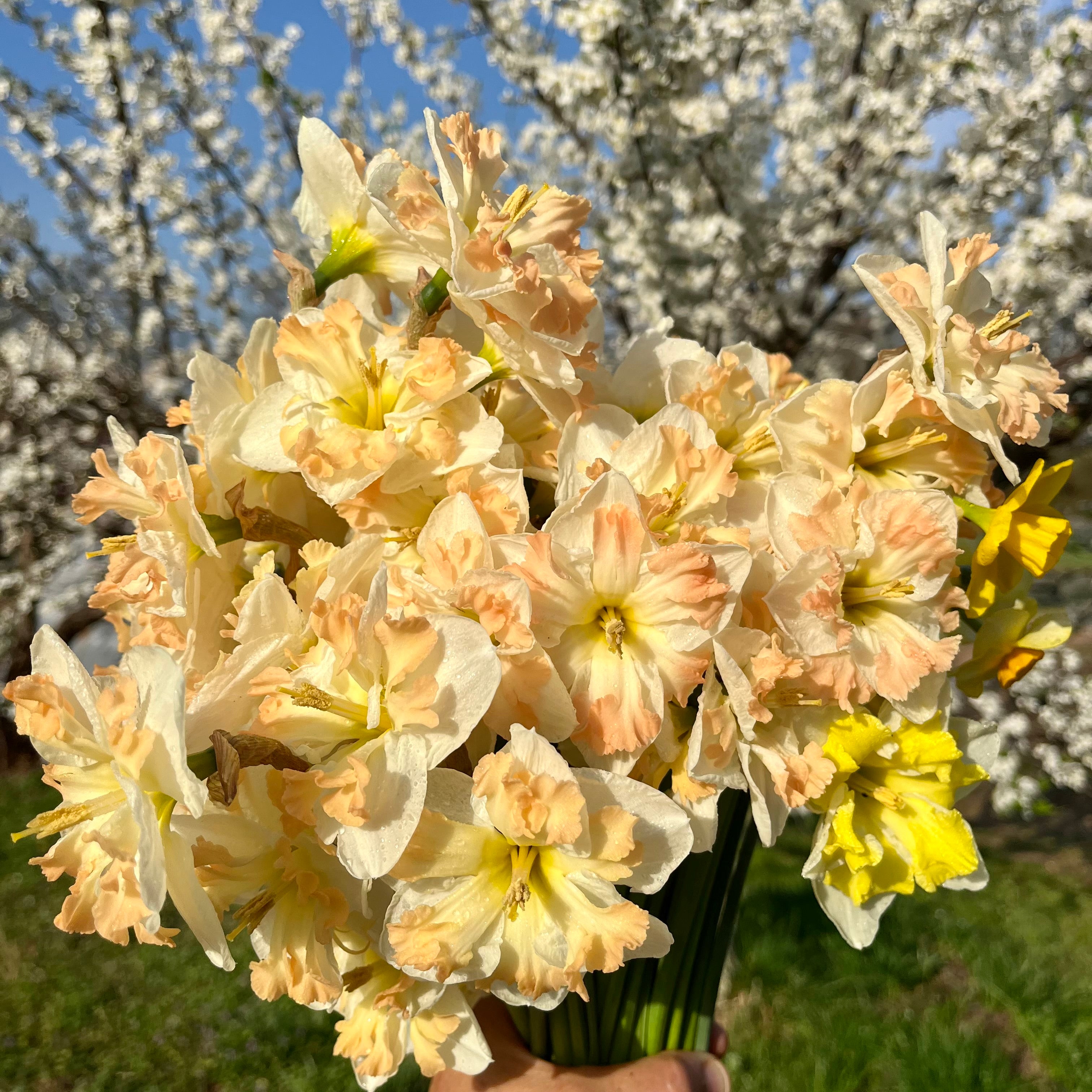 Springing to Life 2/24/23