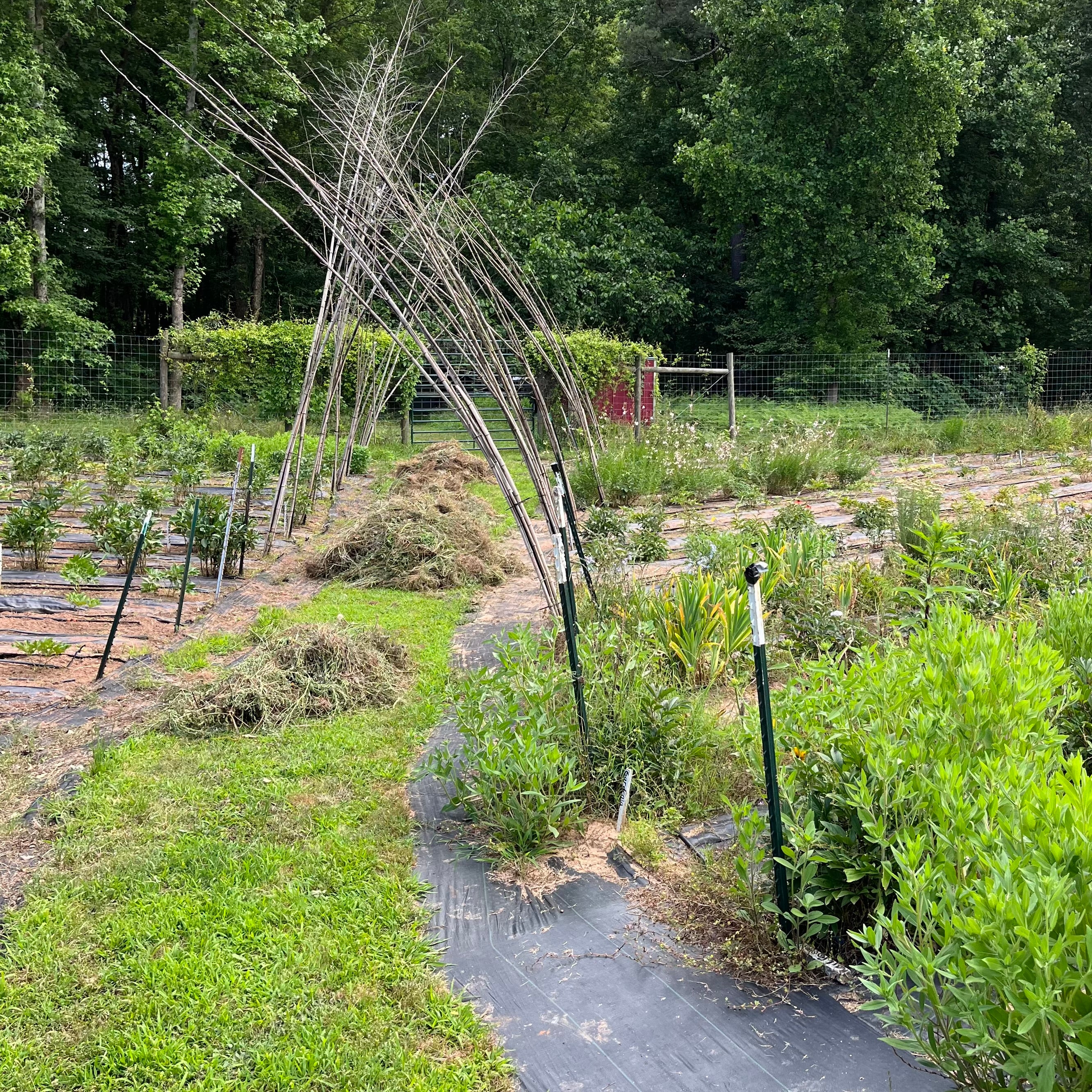 Farmy Stuff 5/26/23