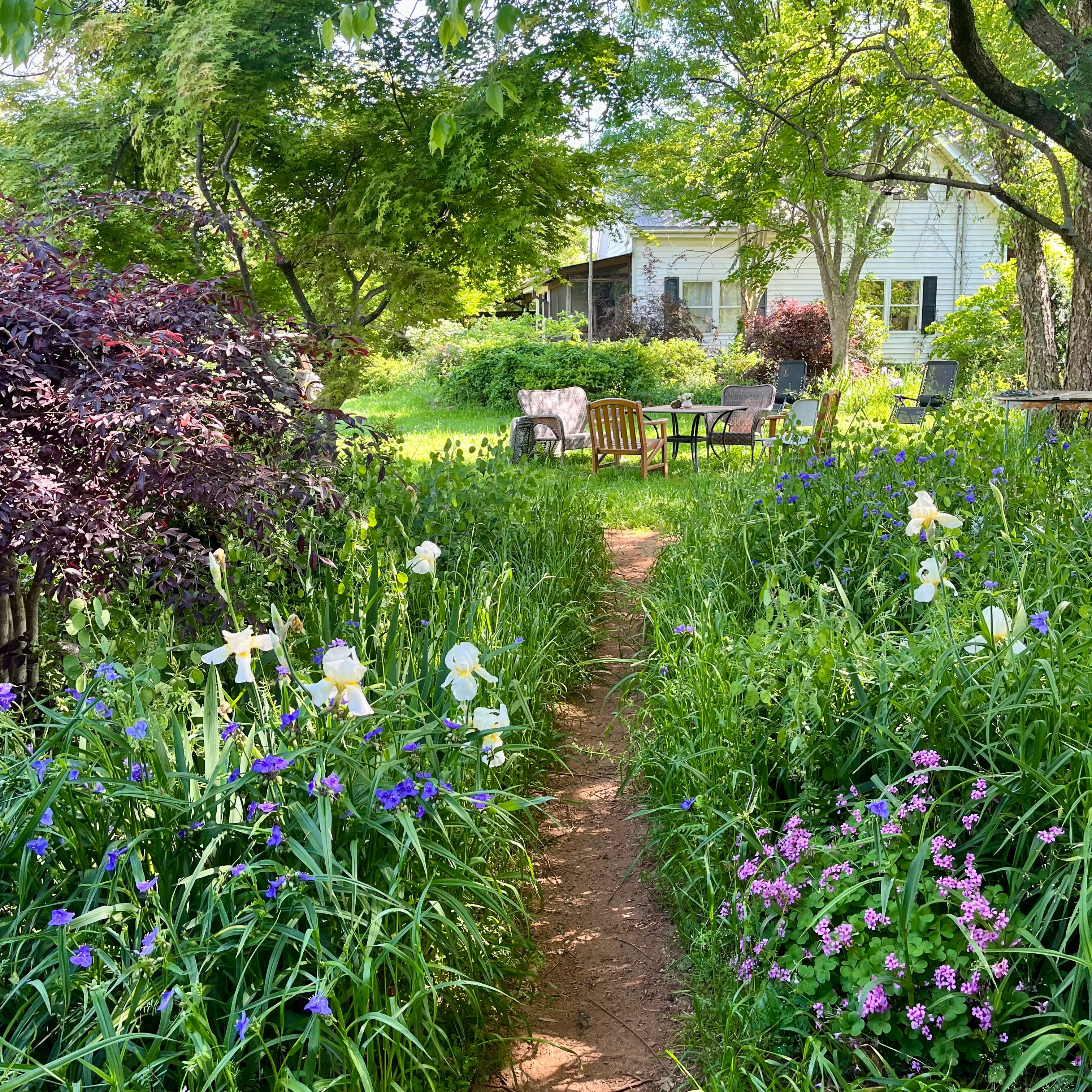 Olfactory Delights 4/19/24