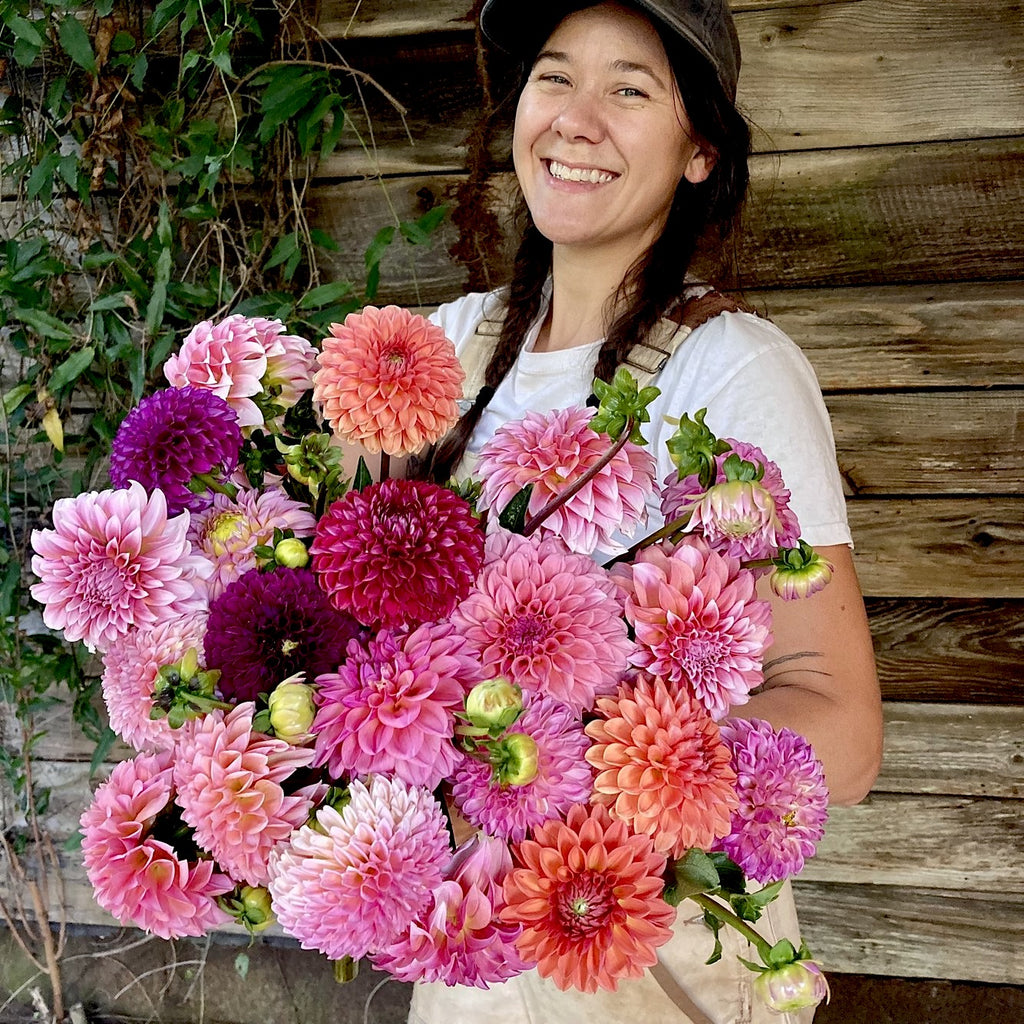 Fresh Cut Flowers Shipped || Dahlia Farmers Mix