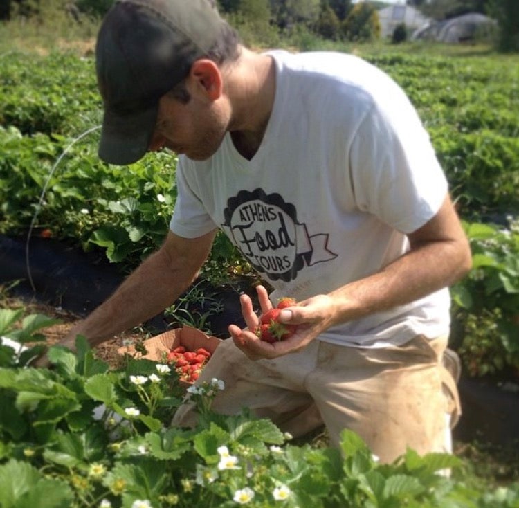 Strawberry Fields 10/1/21