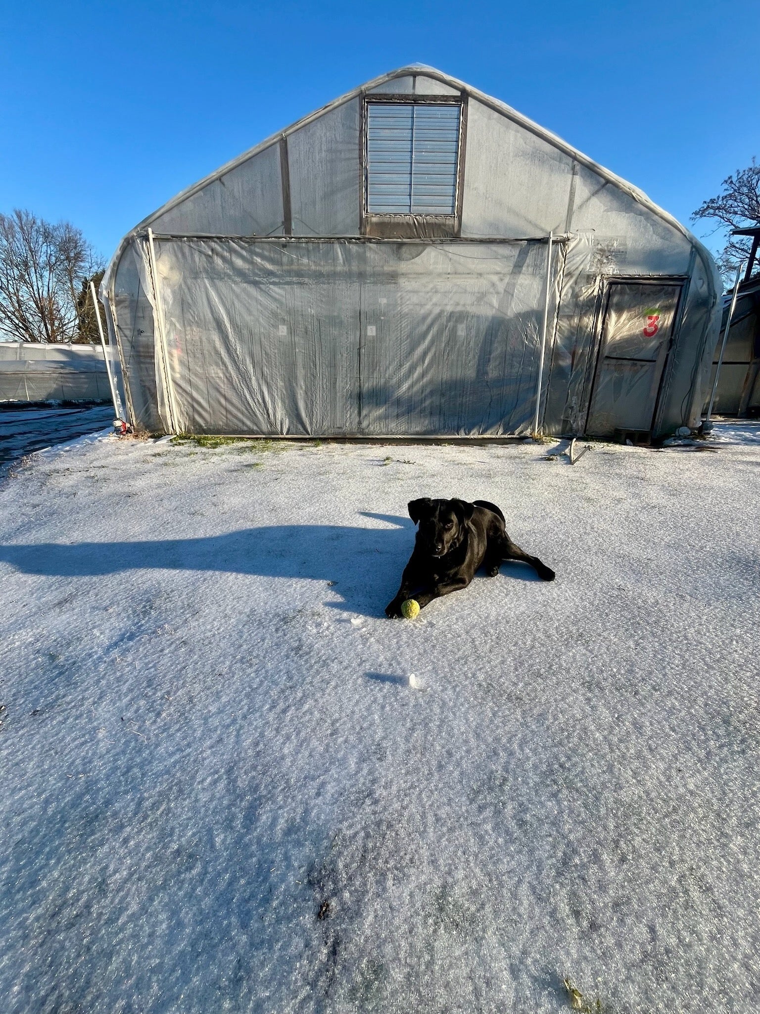 Cold and Cozy 1/30/26