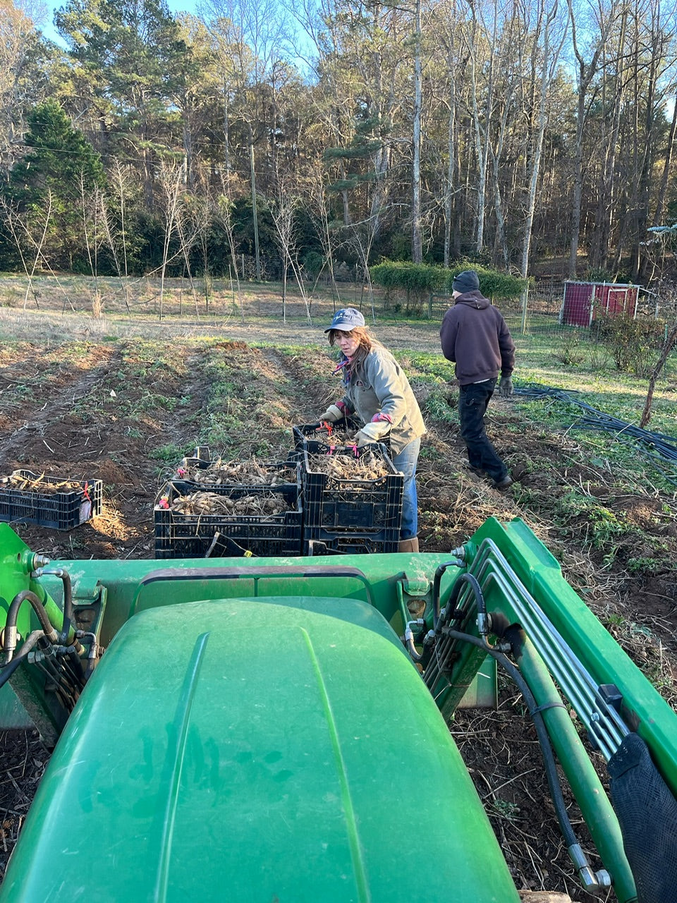 Mole People 12/12/25