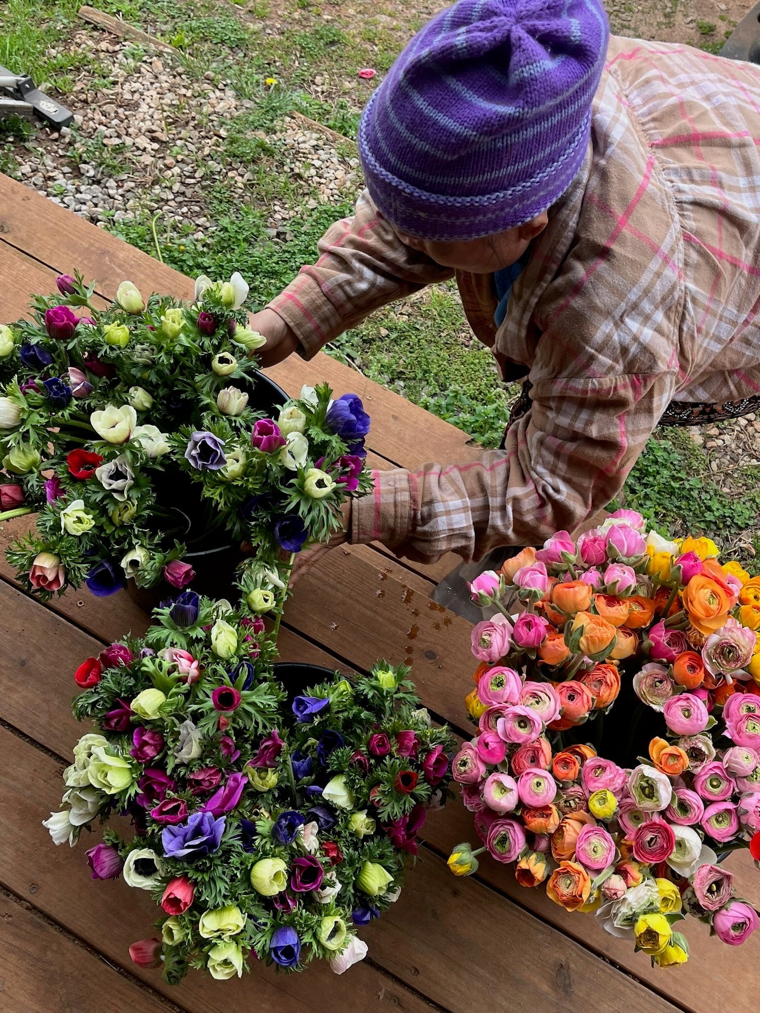 Awareness of Beauty 3/6/2026