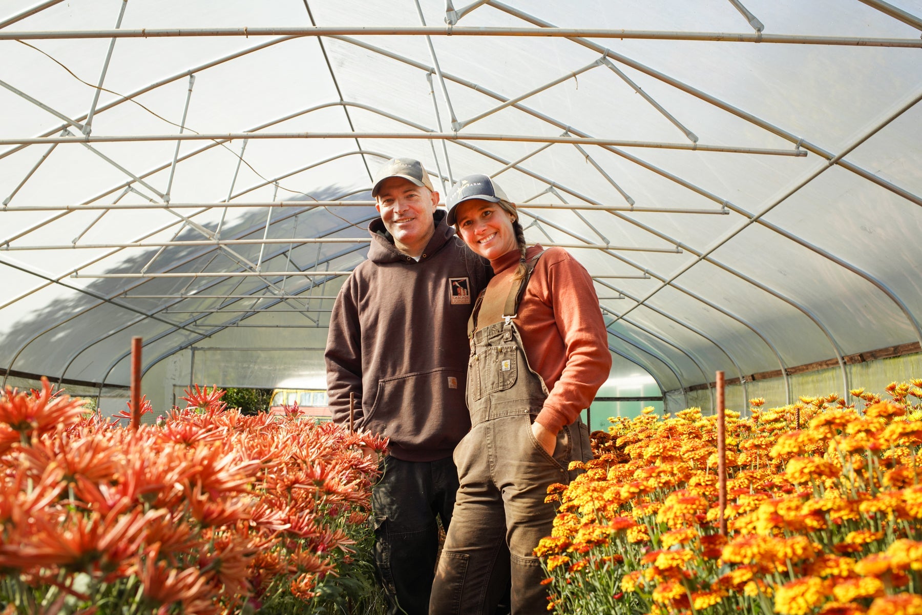 Transitions 11/21/25