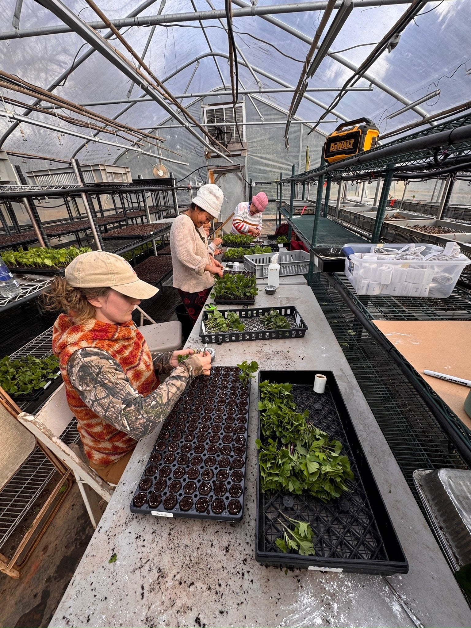 Winter is Coming 1/23/26