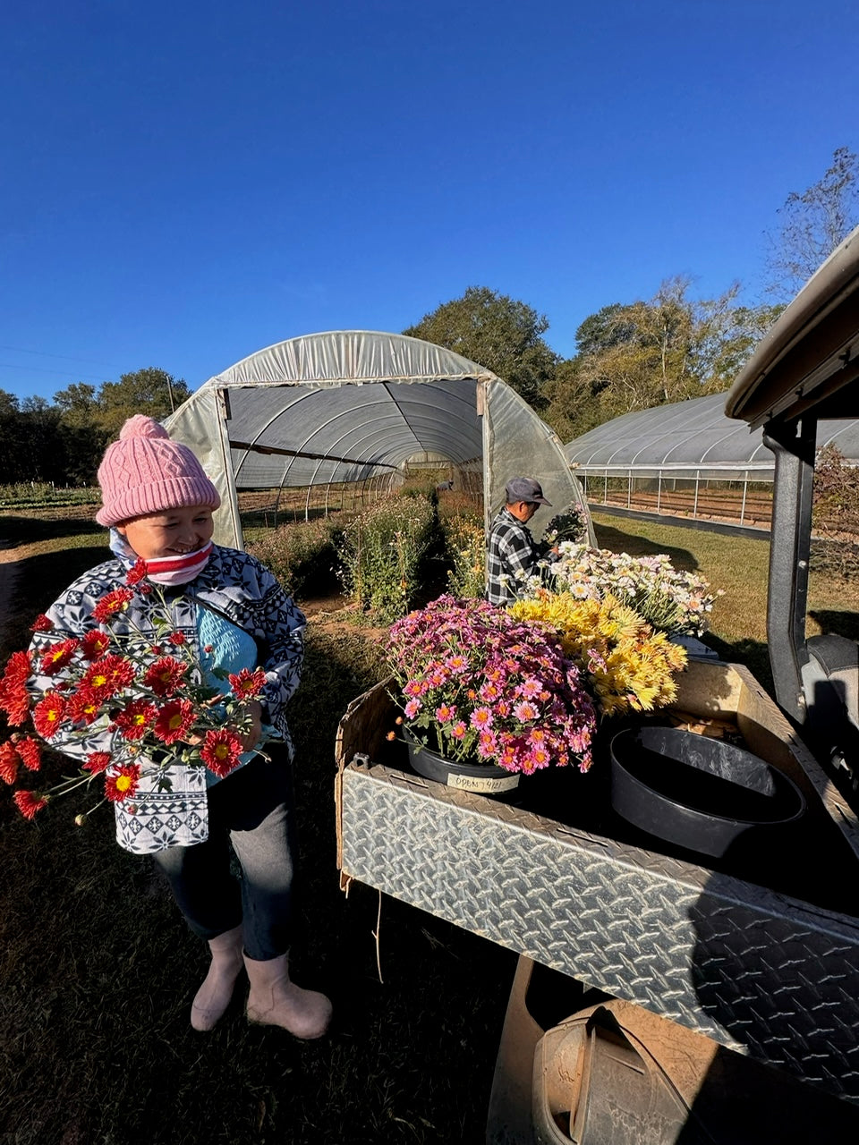 Mum's The Word 10/24/25