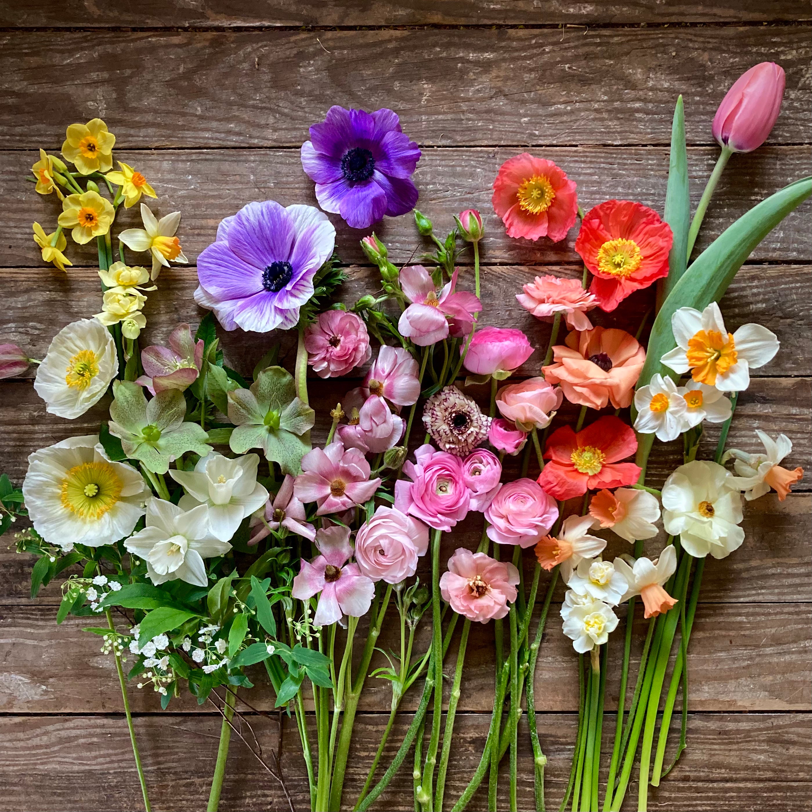 Spring Flower Subscriptions 2025