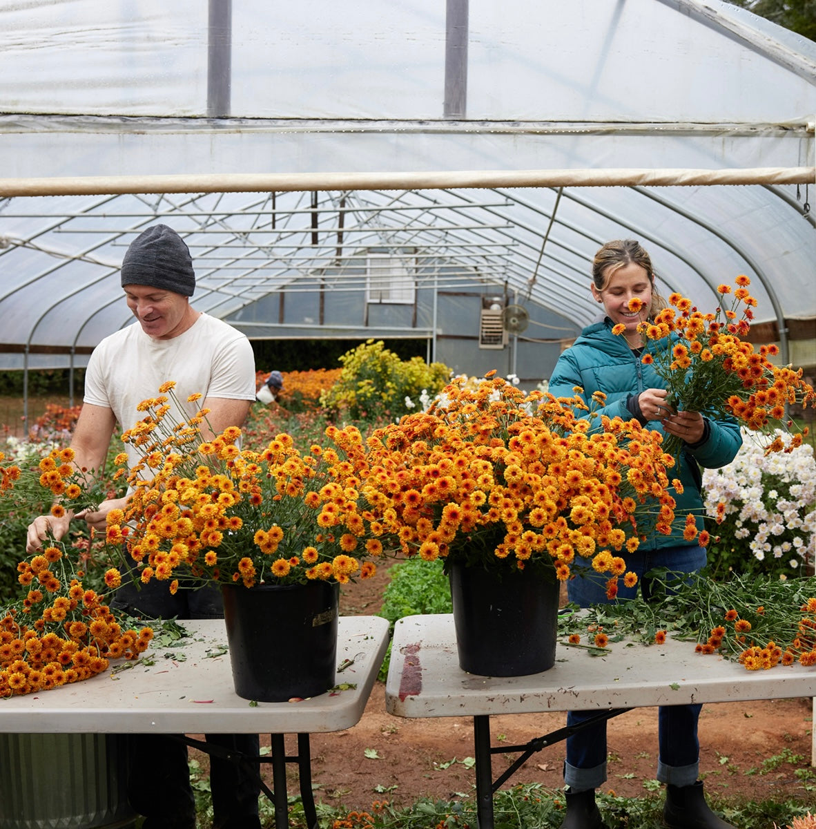 Our Team – 3 Porch Farm