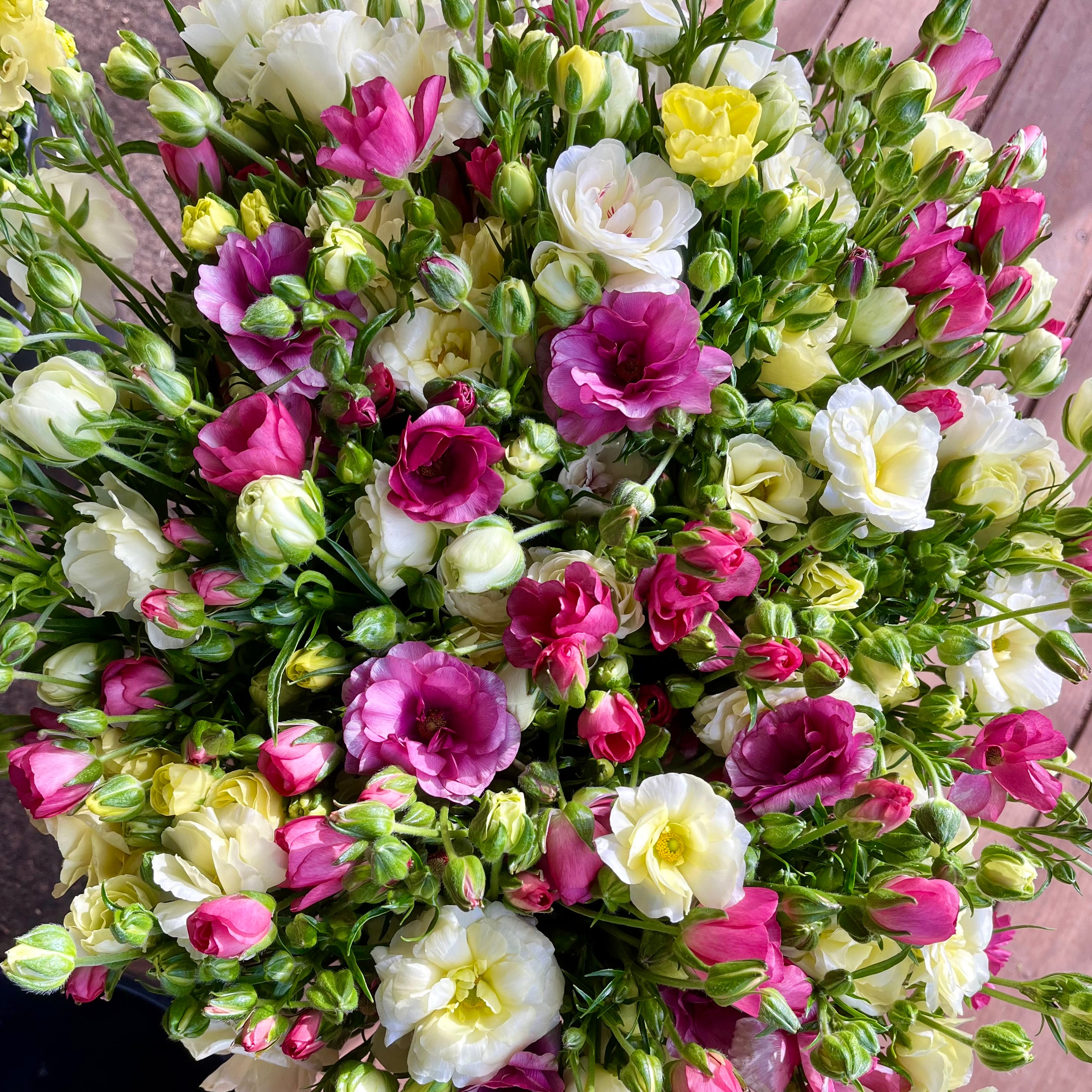 Fresh Cut Flowers Shipped || Farmer's Mix Butterfly Ranunculus