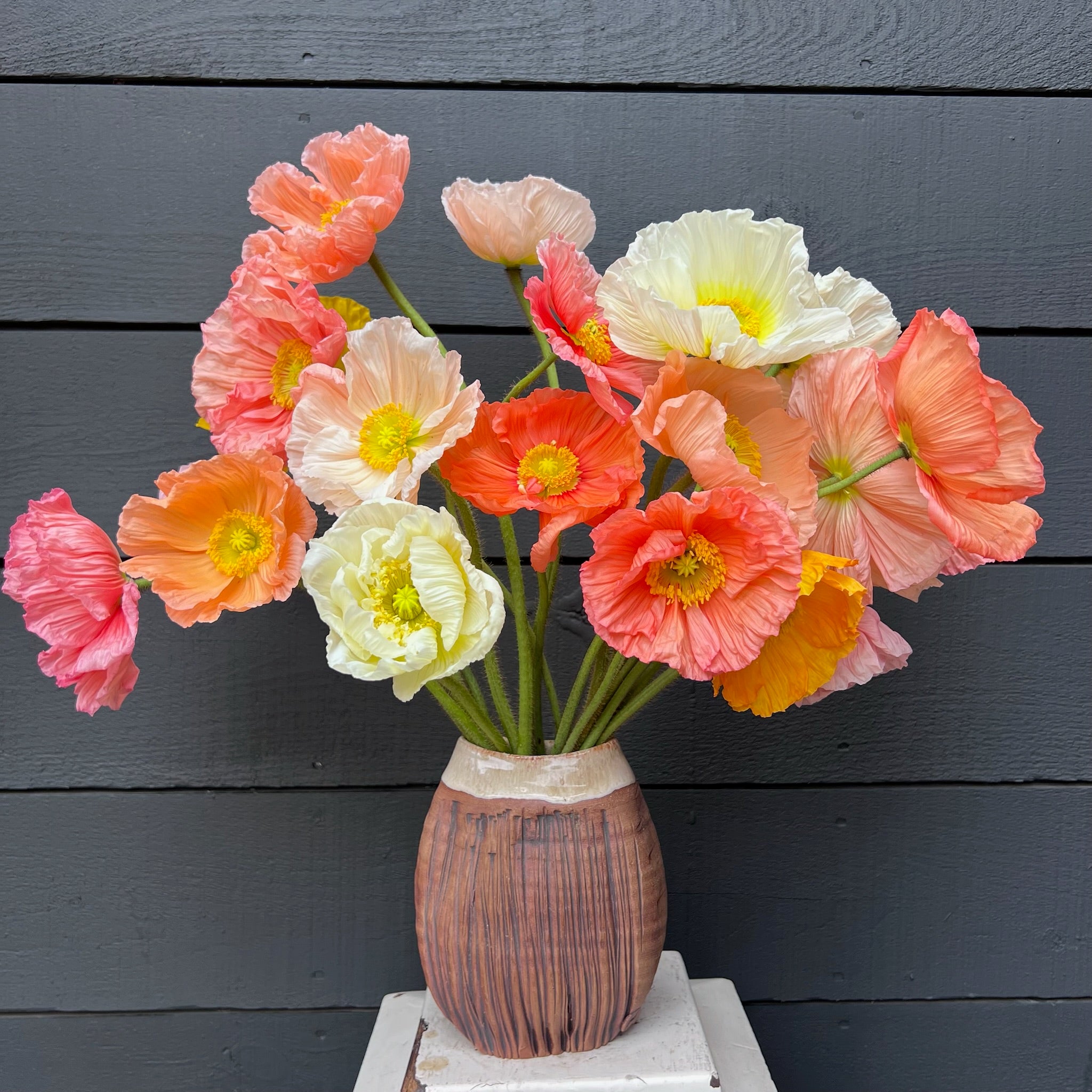 Fresh Cut flowers shipped || Italian Poppies