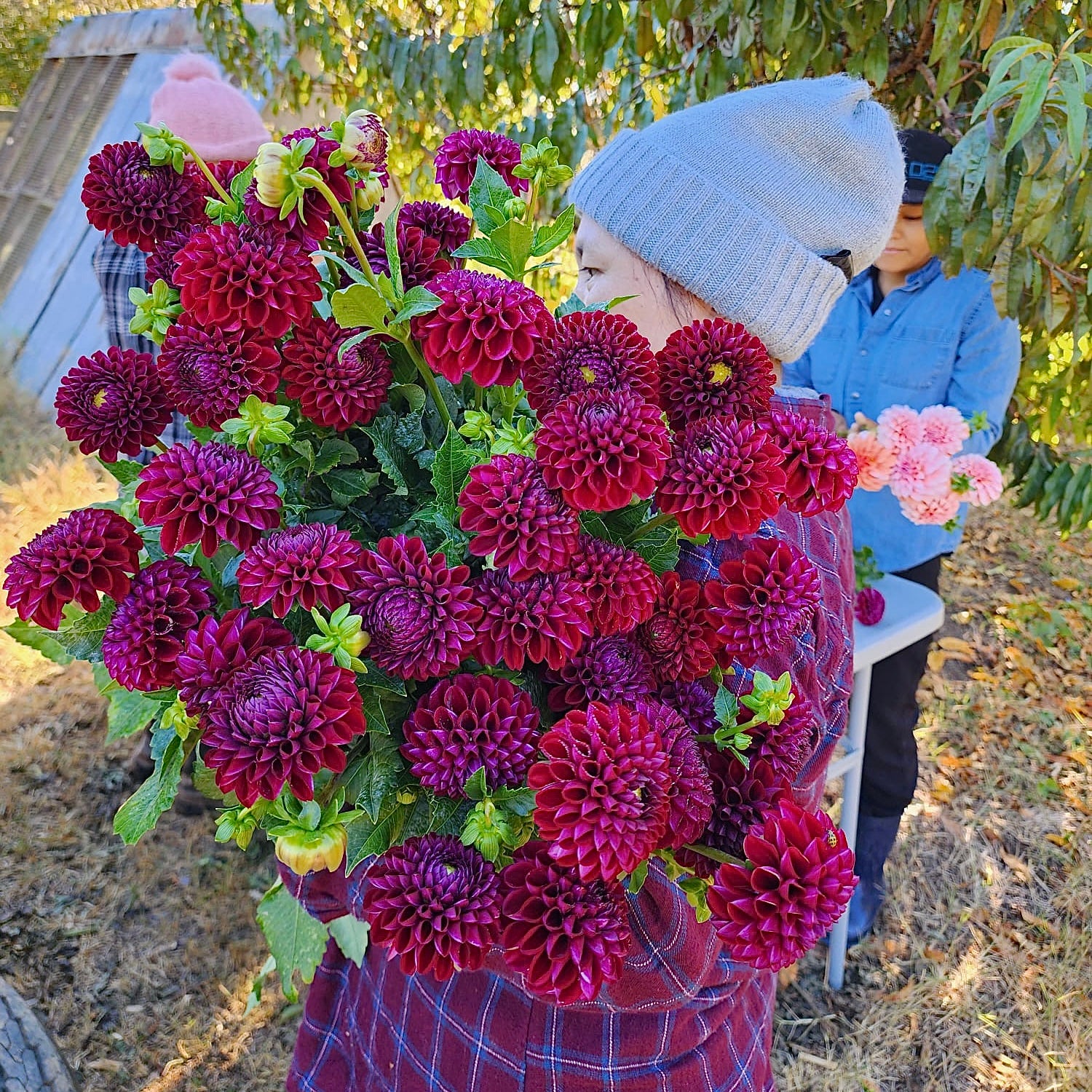 3 Porch Farm photo