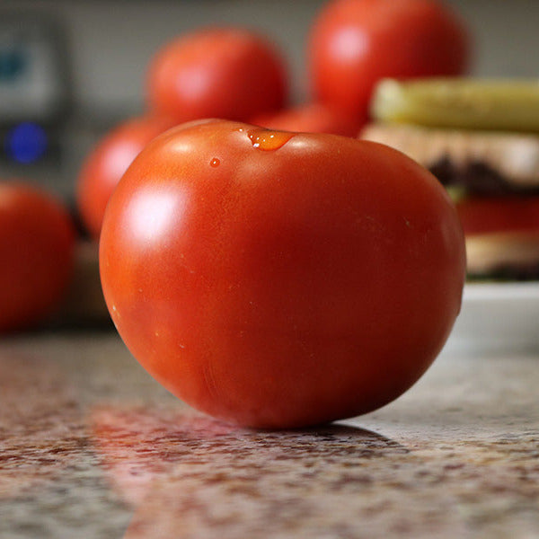 Tomato || Celebrity Plus