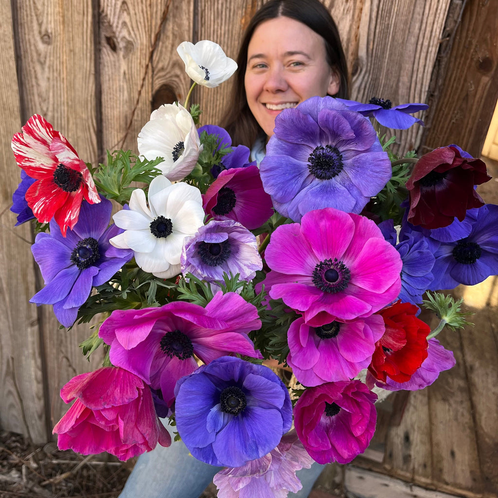 Spring Bi-Weekly Flower Subscription || March 13th-April 24th Wednesday Delivery