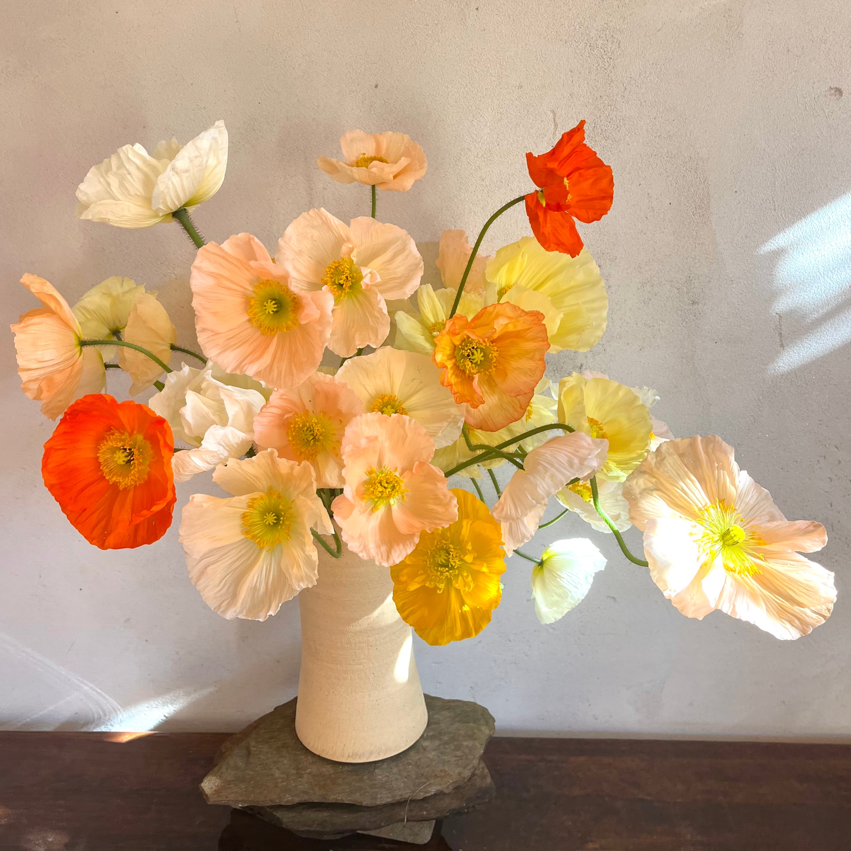 Fresh Cut flowers shipped || Icelandic Poppies 'Pastel Mix'