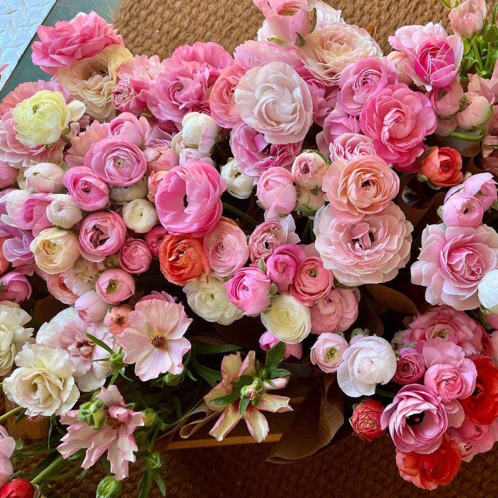APRIL Weekly Flower Subscription || April 5th-26th Friday Delivery