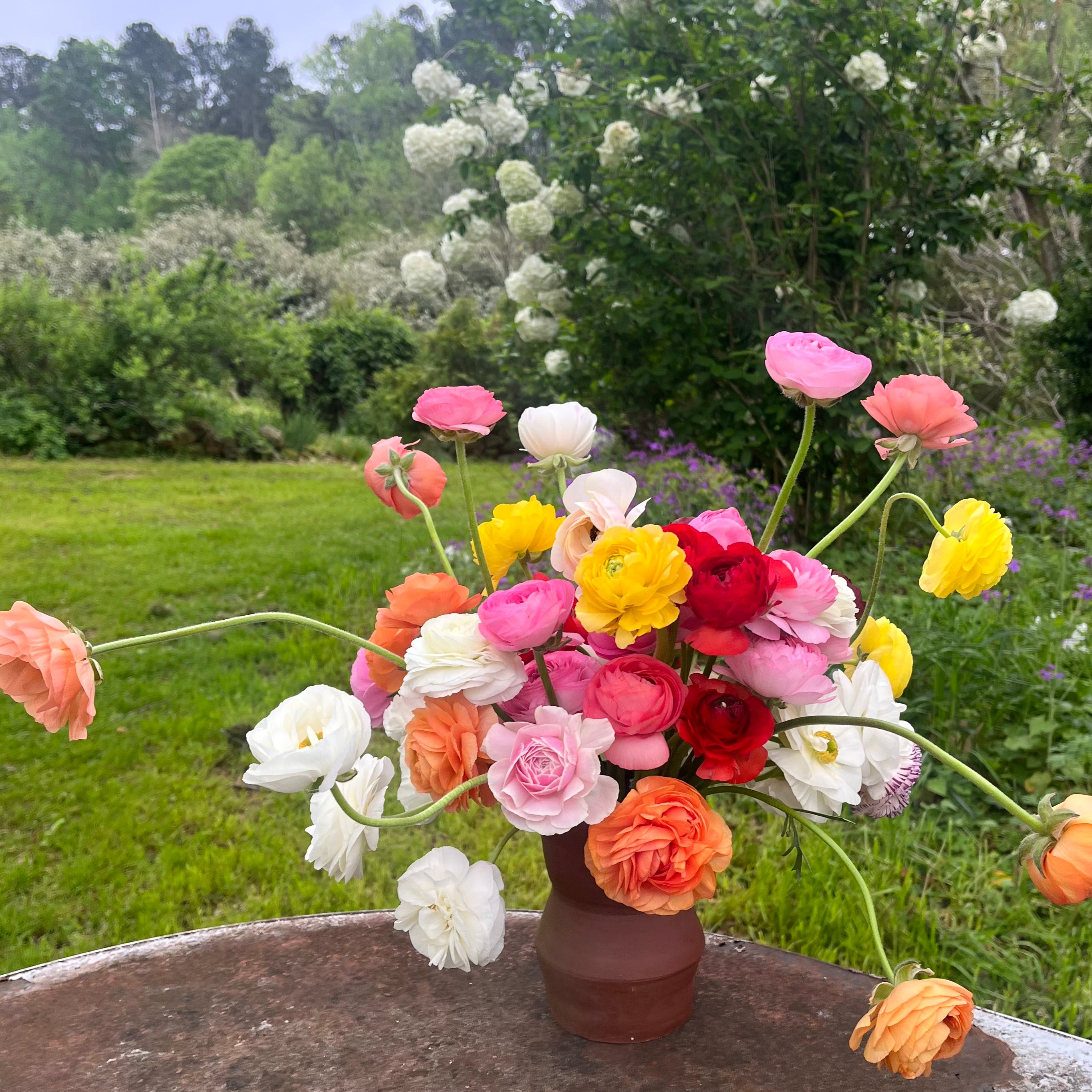 Weekly Dahlia Subscription || September 11th-October 2nd Wednesday Delivery