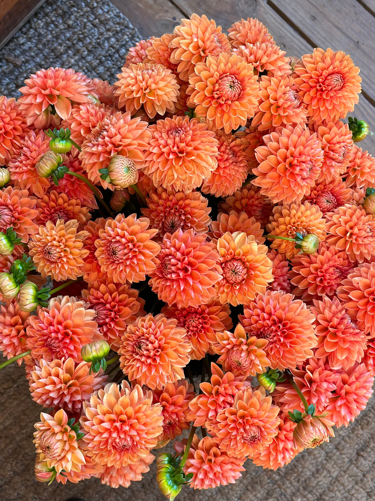 Fresh Cut Flowers Shipped || Orange Dahlia Mix
