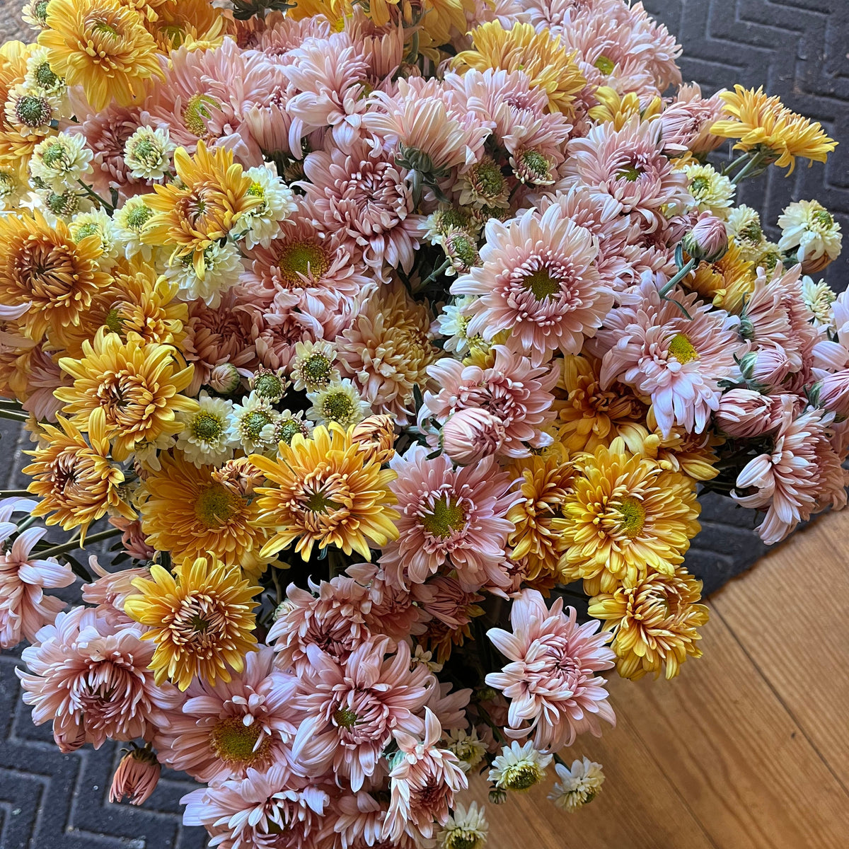 Fresh Cut Flowers Shipped || Pink Lady Heirloom Mum Mix