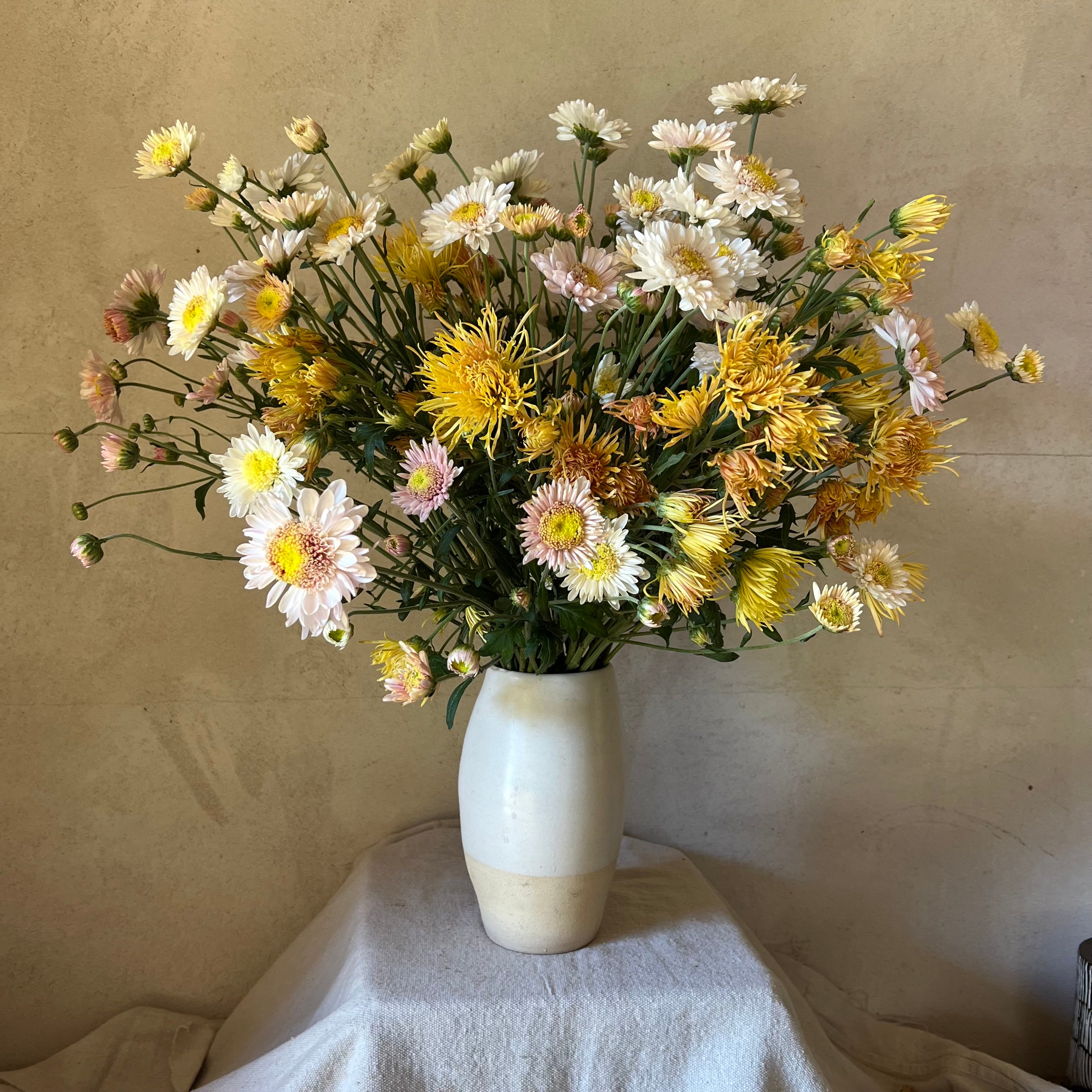 Fresh Cut Flowers Shipped || Heirloom Mums 'Bess and Harry' Mix
