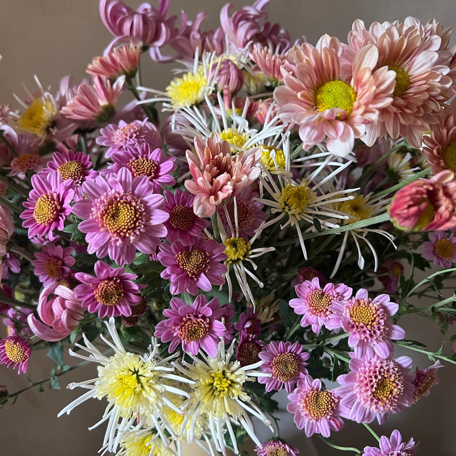 Fresh Cut Flowers Shipped || Heirloom Mum Gratitude Mix