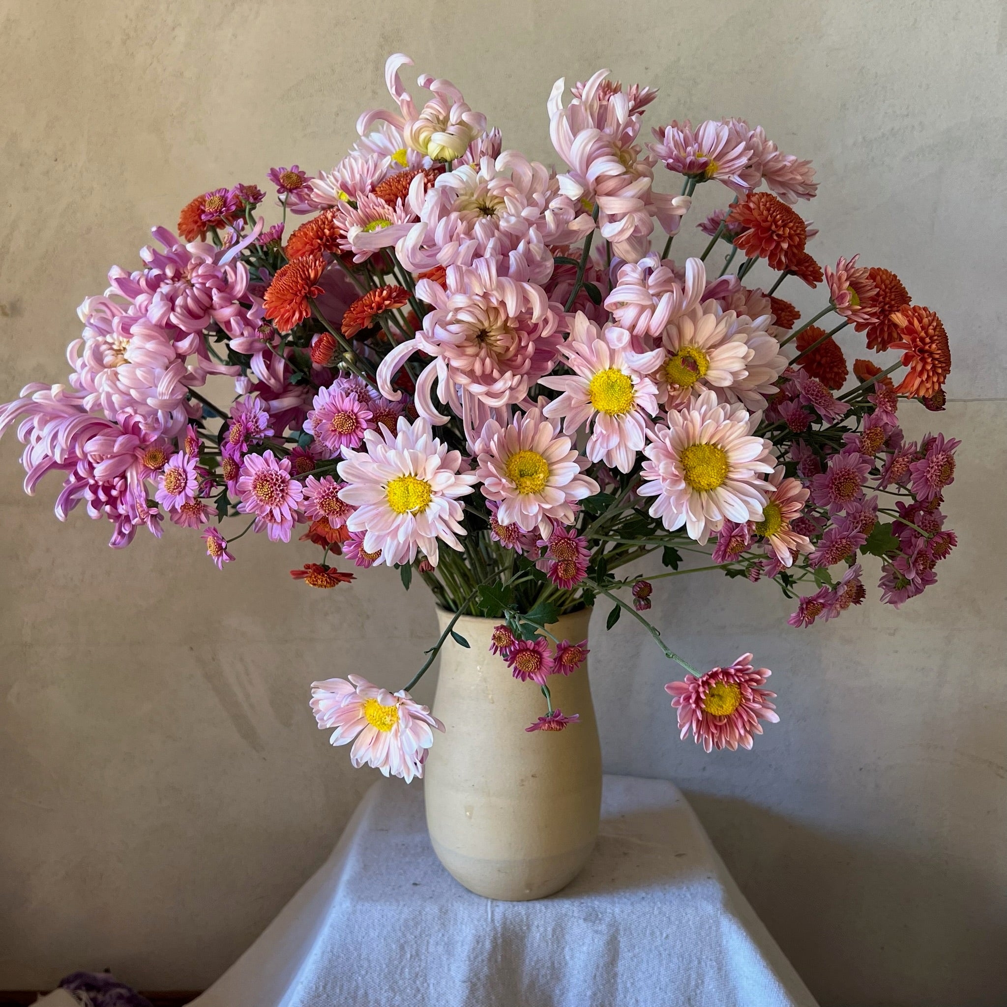 Fresh Cut Flowers Shipped || Heirloom Mum Sherbet Mix