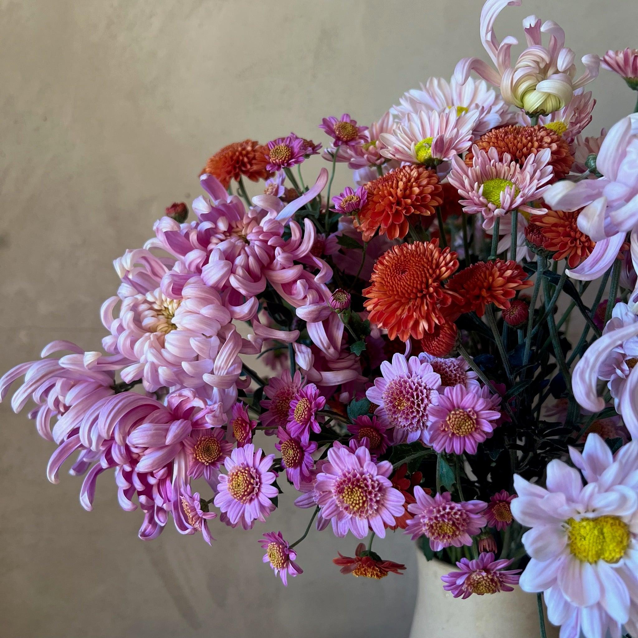 Fresh Cut Flowers Shipped || Heirloom Mum Sherbet Mix