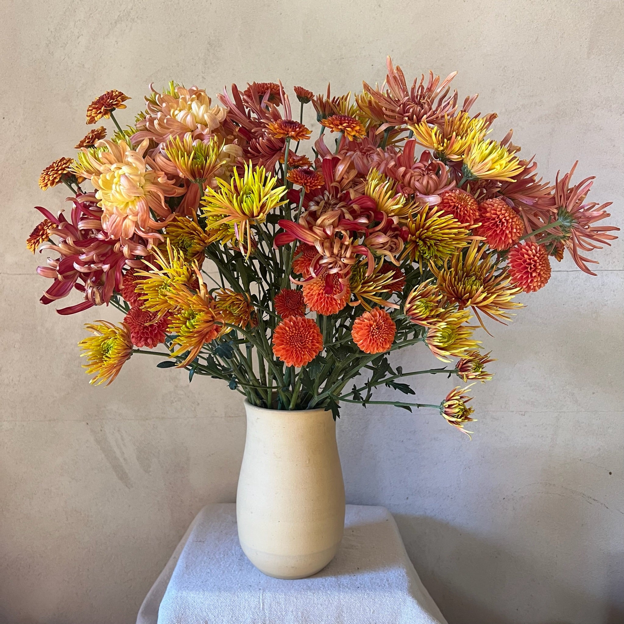 Fresh Cut Flowers Shipped || Heirloom Mum Autumn Sunset Mix