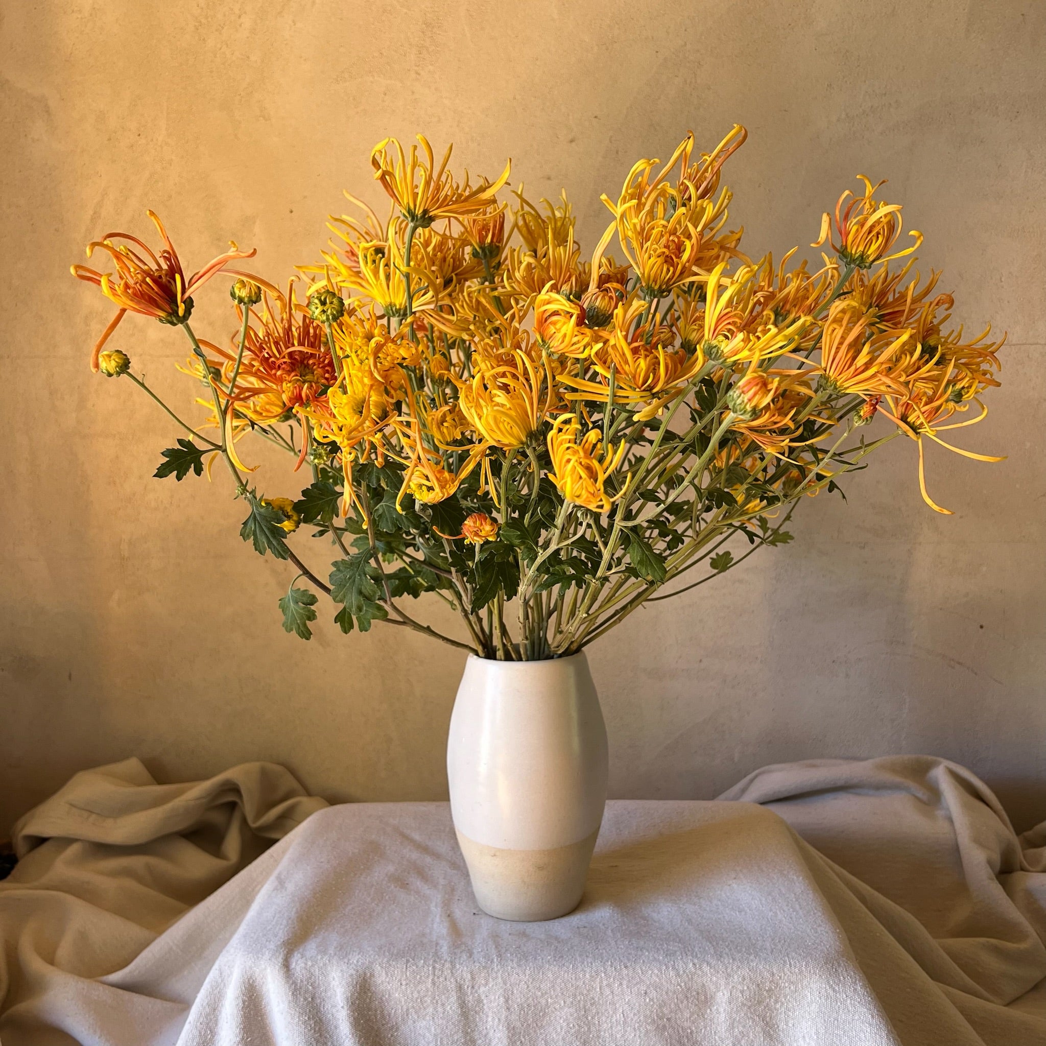 A bouquet of orange and yellow Coral Reef heirloom mums in a vase.