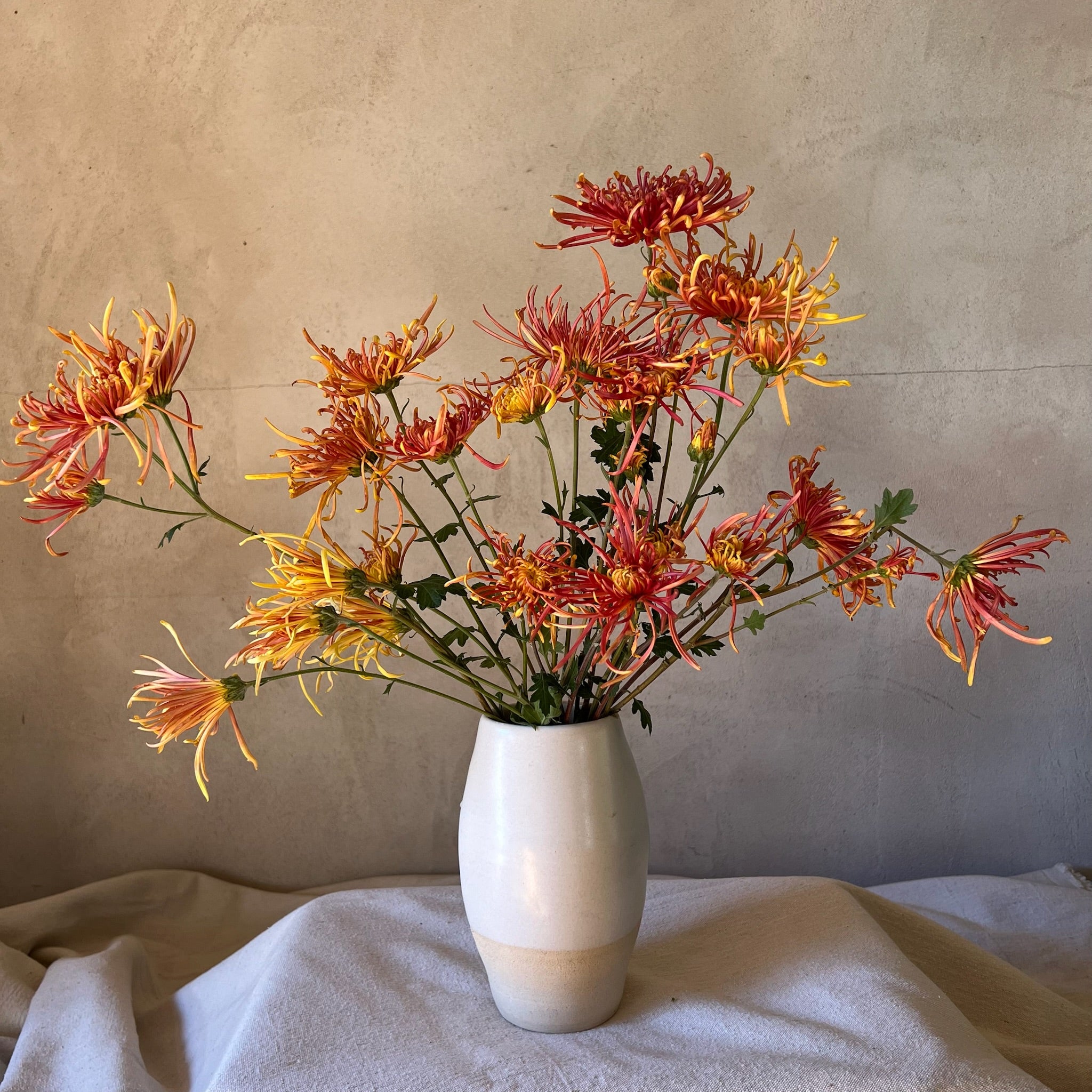 A bouquet of Coral Reef mums after cold temperatures.