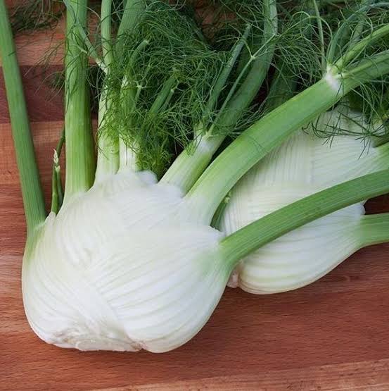Fennel 'Orazio'