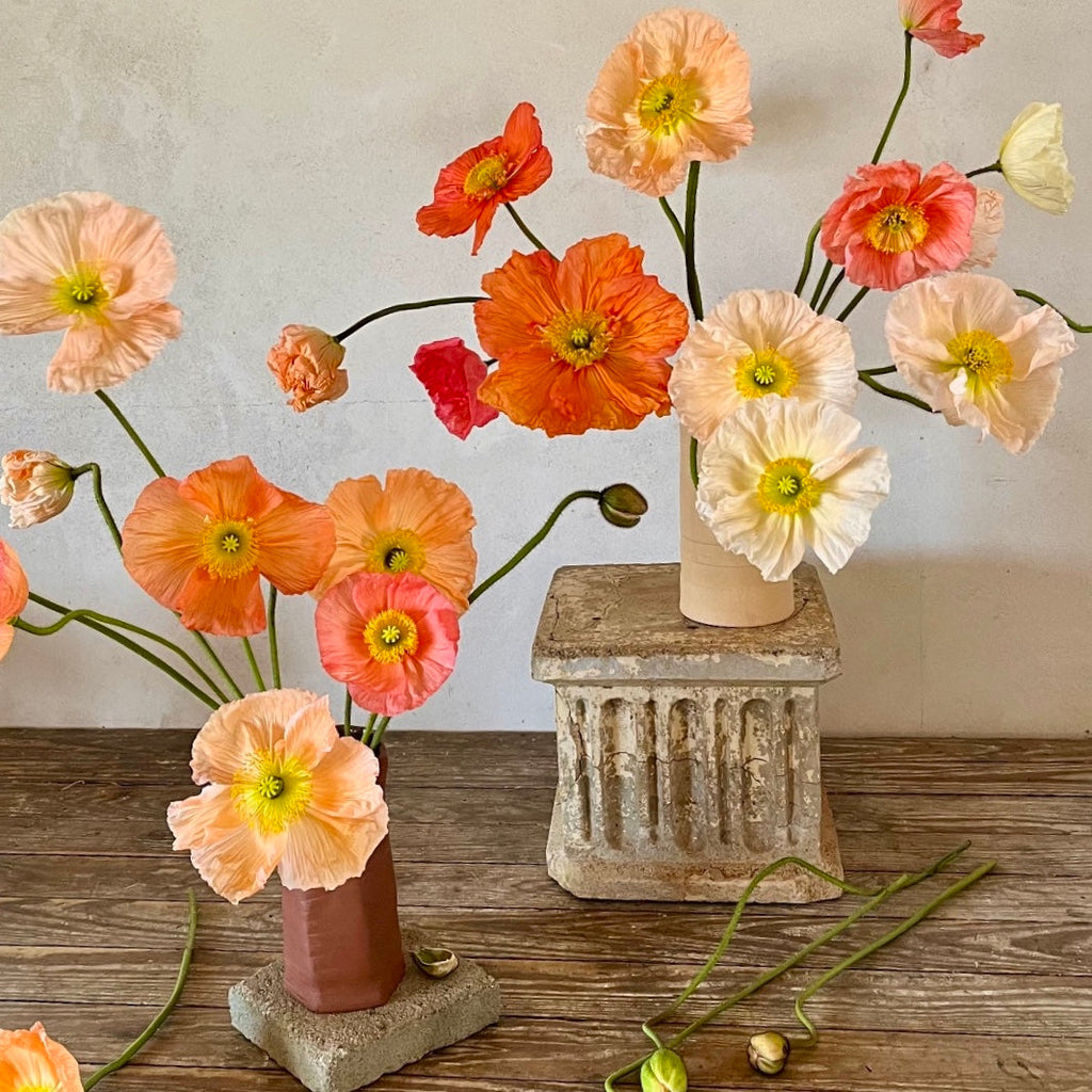 Spring Bi-Weekly POPPY Subscription || March 6th-April 17th Wednesday Delivery
