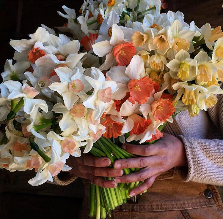 MARCH Weekly Flower Subscription || March 8th-29th Friday Delivery