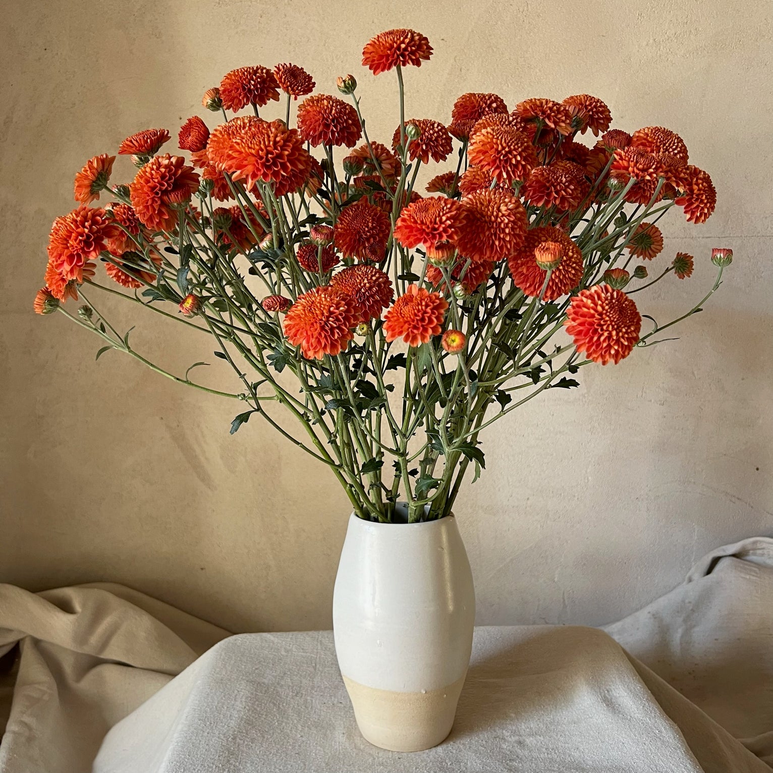 A bouquet of Kelvin Mandarin heirloom mums. Fall blooming. 