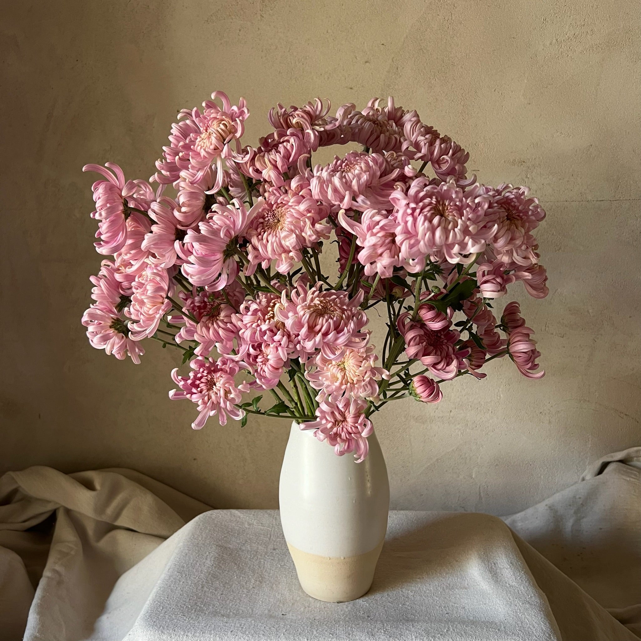 A bouquet of Kokka Hougiku heirloom chrysanthemums in a vase. Fall blooming. Good for disbudding.