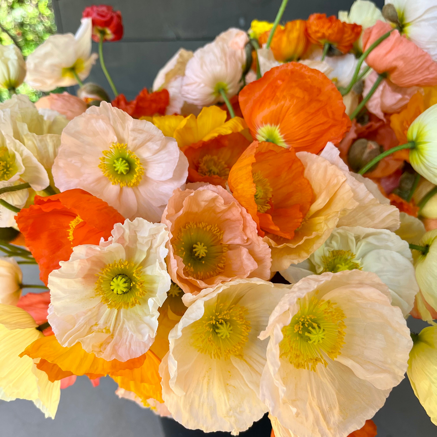 APRIL Weekly Poppy Subscription || April 1st-22nd Wednesday Delivery ...