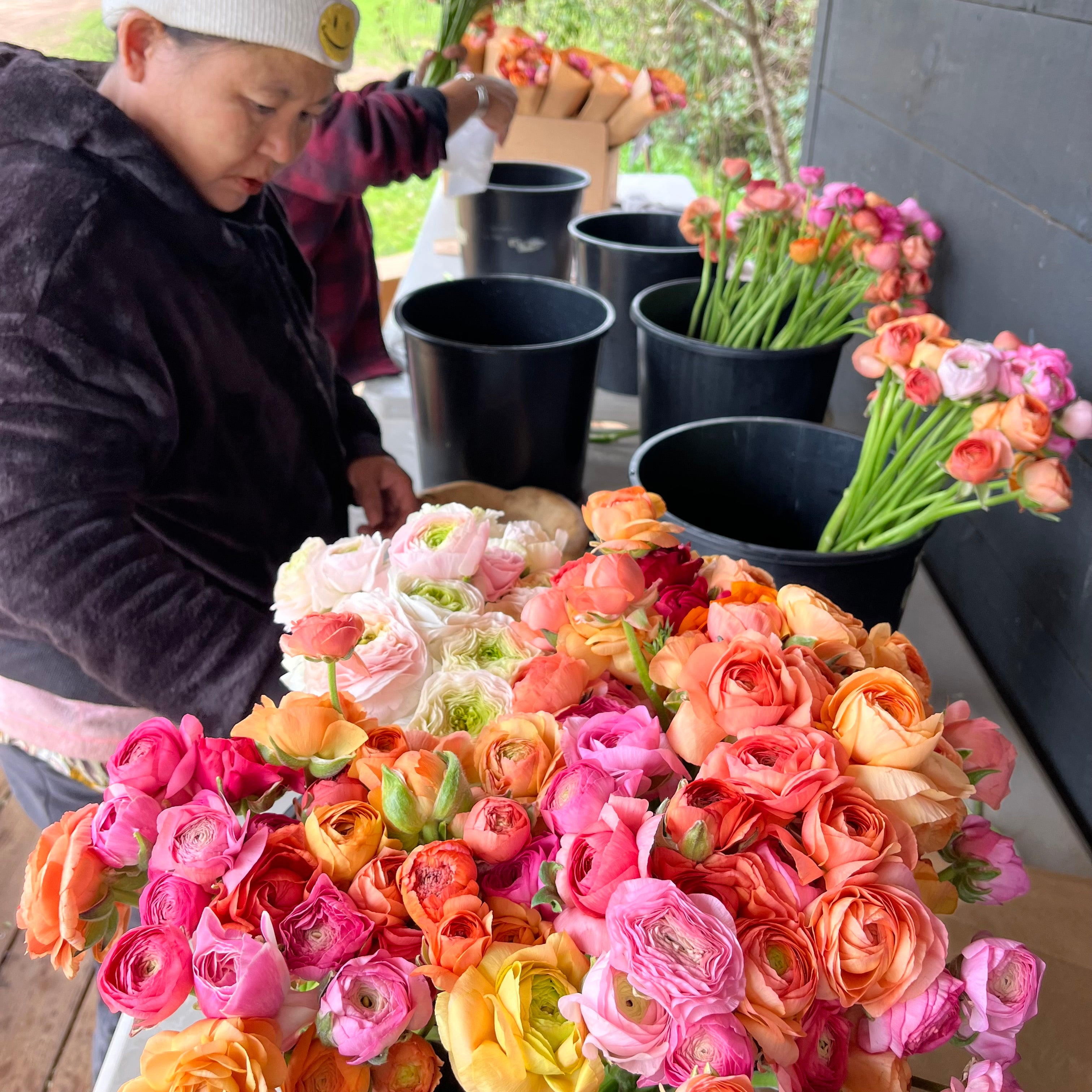 Fresh Cut Flowers Shipped || Ranunculus Farmer's Mix – 3 Porch Farm