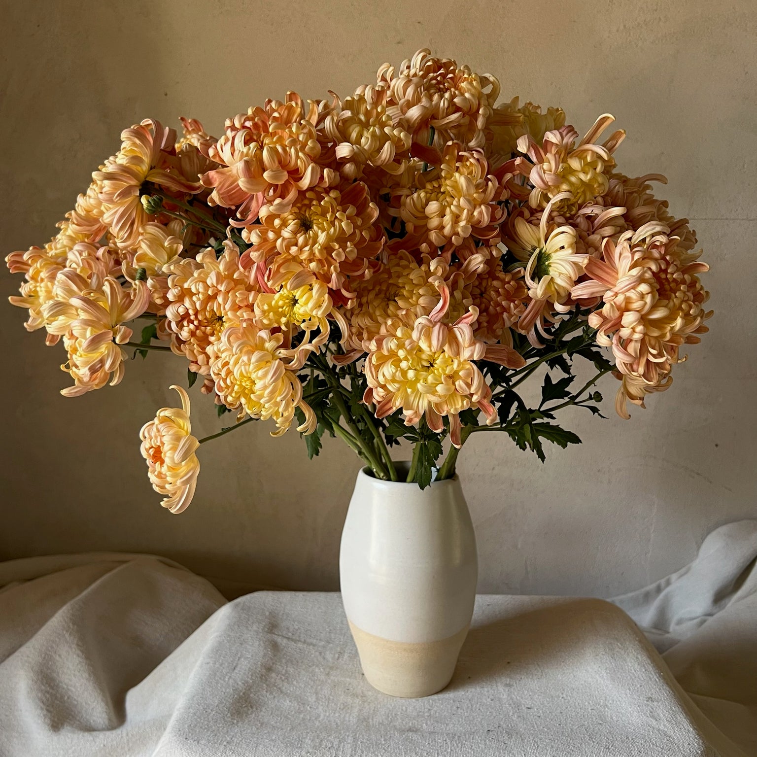 A bouquet of River City heirloom chrysanthemums. Long lasting fall flowers. Great for disbud.