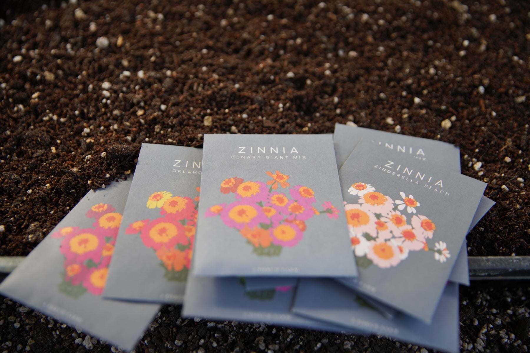 Zinnia seed packets on top of potting soil.