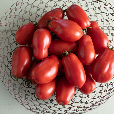 Paste Tomato || San Marzano
