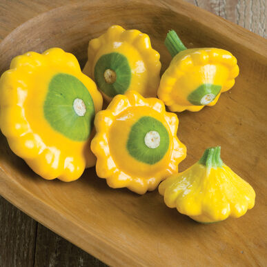 Squash 'Pattypan Y-Star'