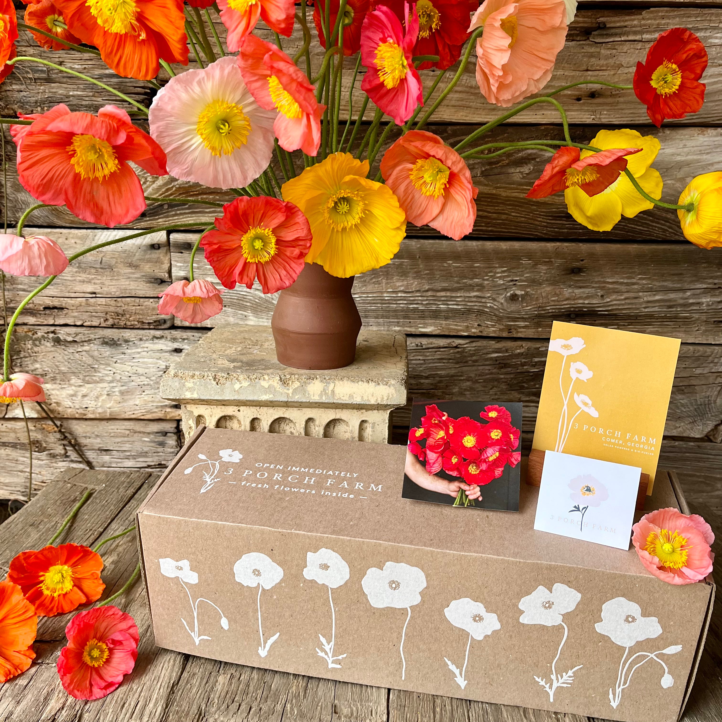 * Send a GIFT BOX * || Icelandic Poppies!