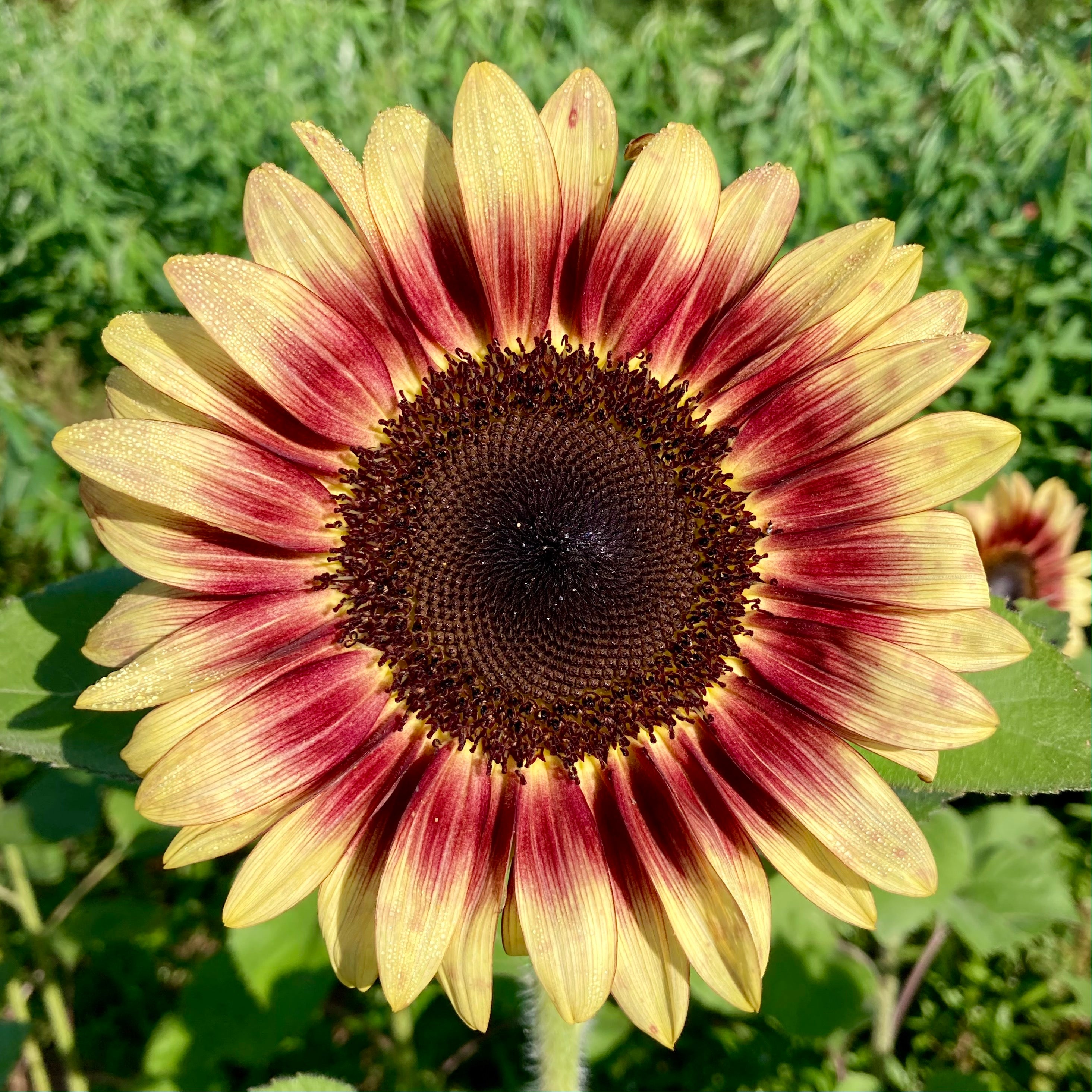 Shop for Nationwide Shipping – Tagged 