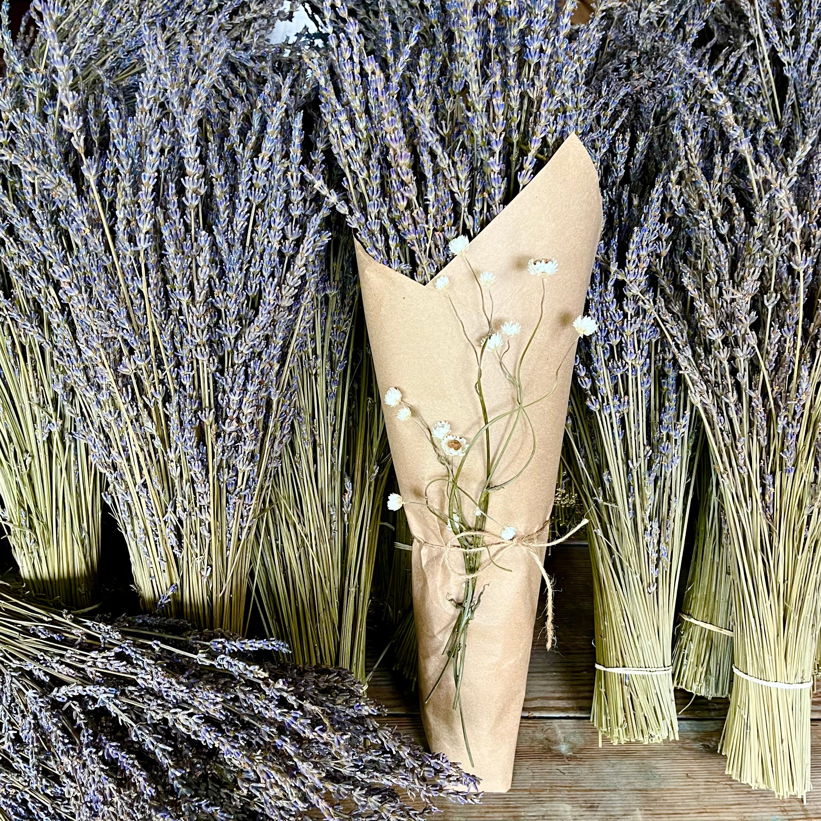 Dried Lavender Bundle