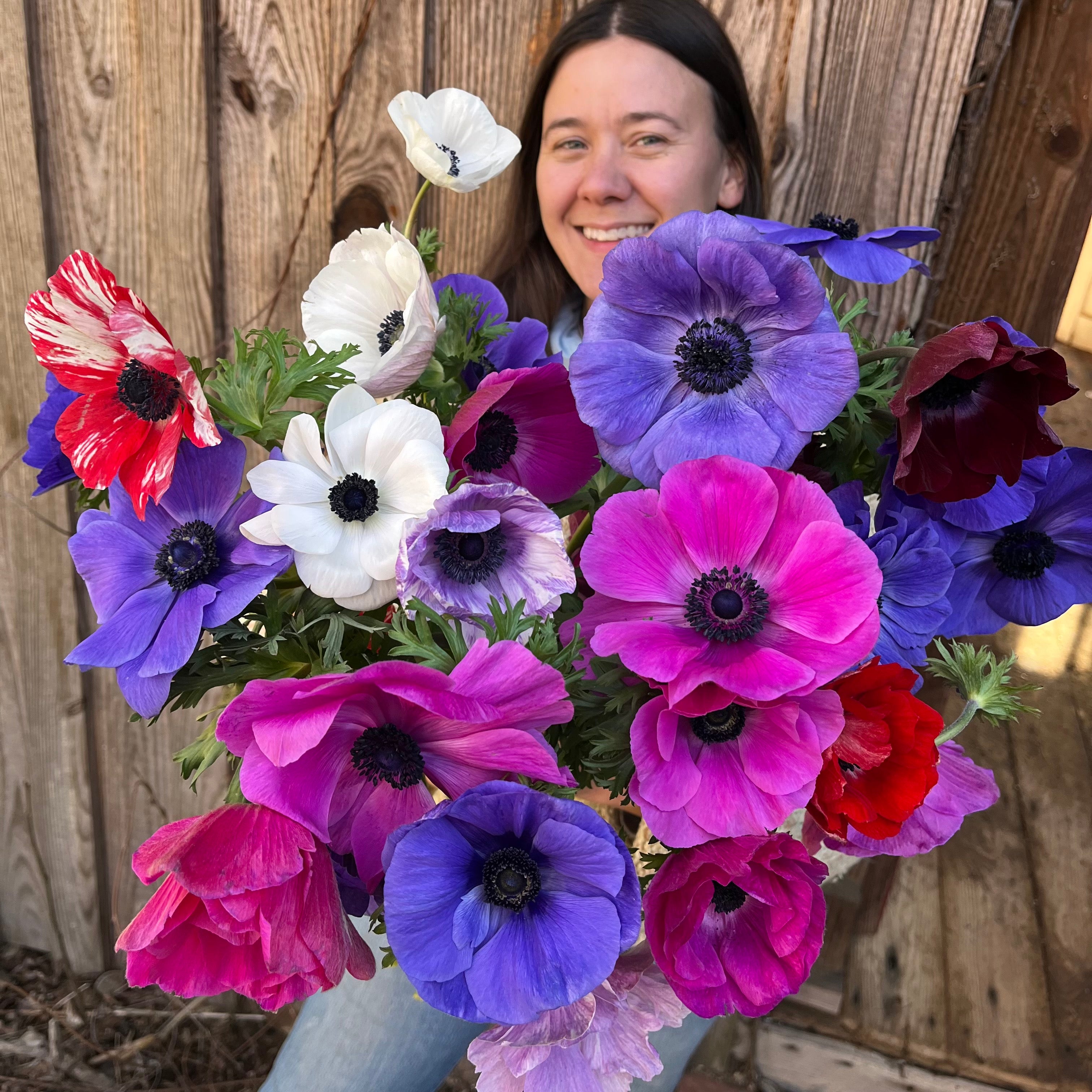 Fresh Cut Flowers Shipped || Farmer’s Mix Anemones