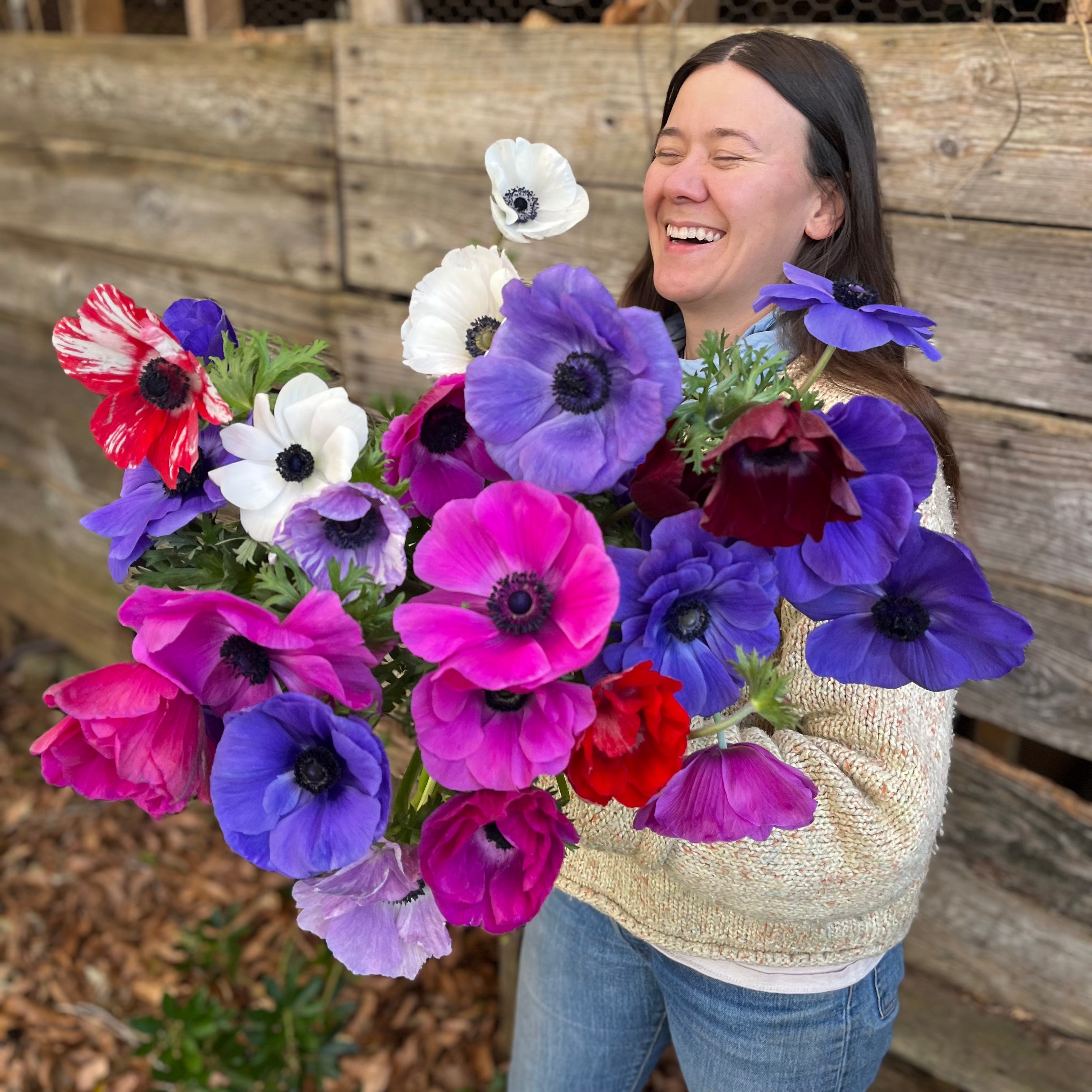 Fresh Cut Flowers Shipped || Cute and Short Jewel Anemones (more stems!)