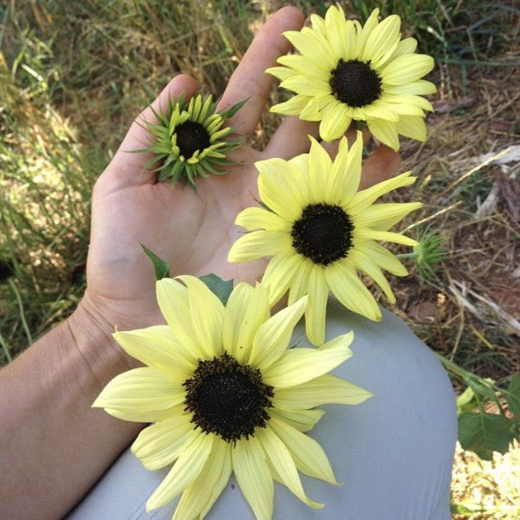 Shop for Nationwide Shipping – Tagged 