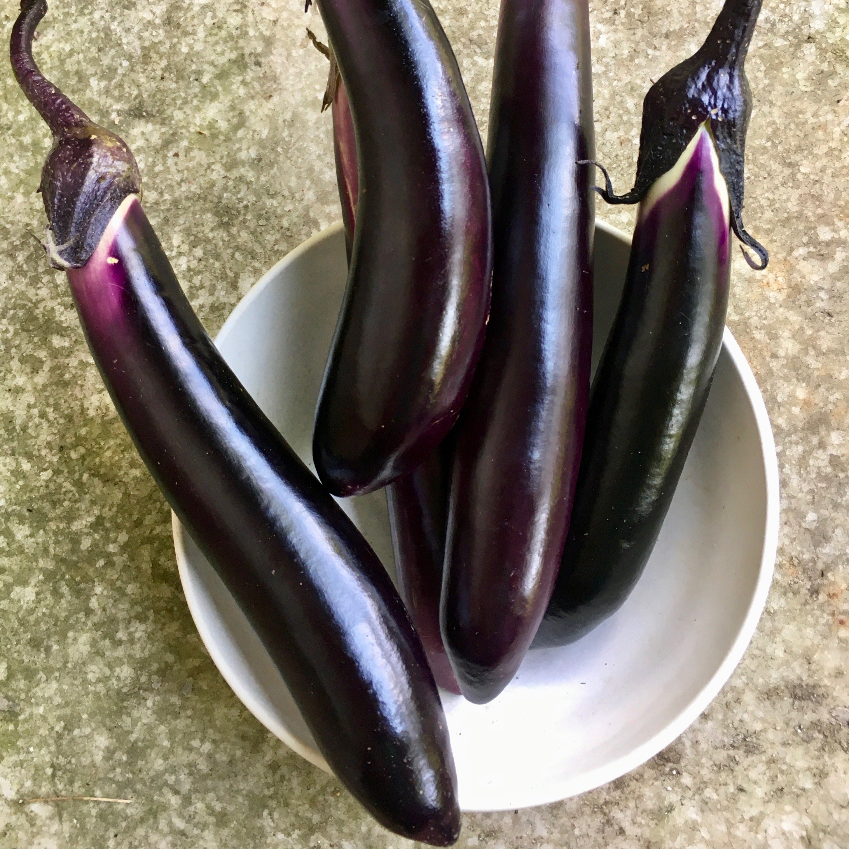 Eggplant 'Orient Express'