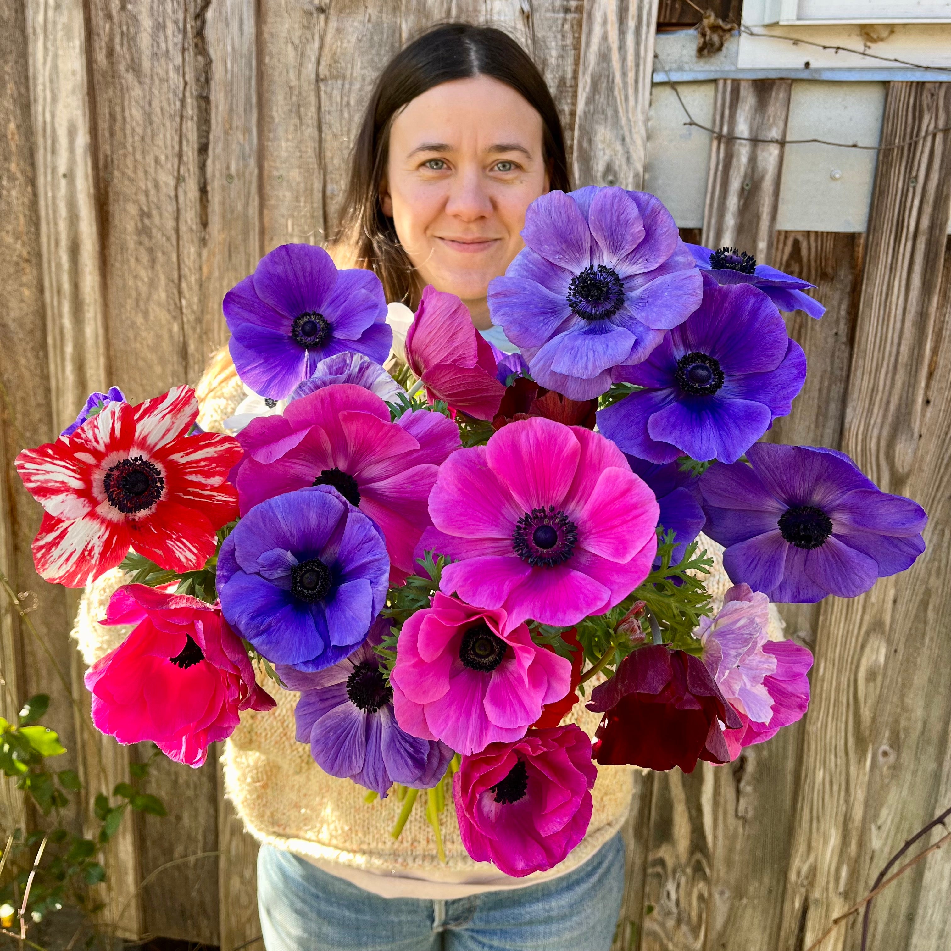 Fresh Cut Flowers Shipped || Farmer’s Mix Anemones